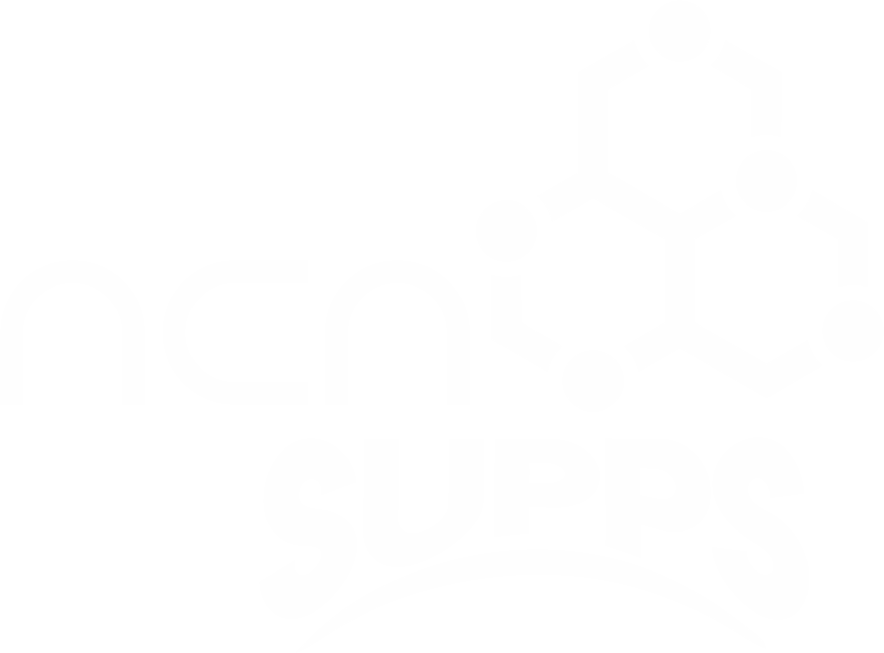 NCN Logo - White